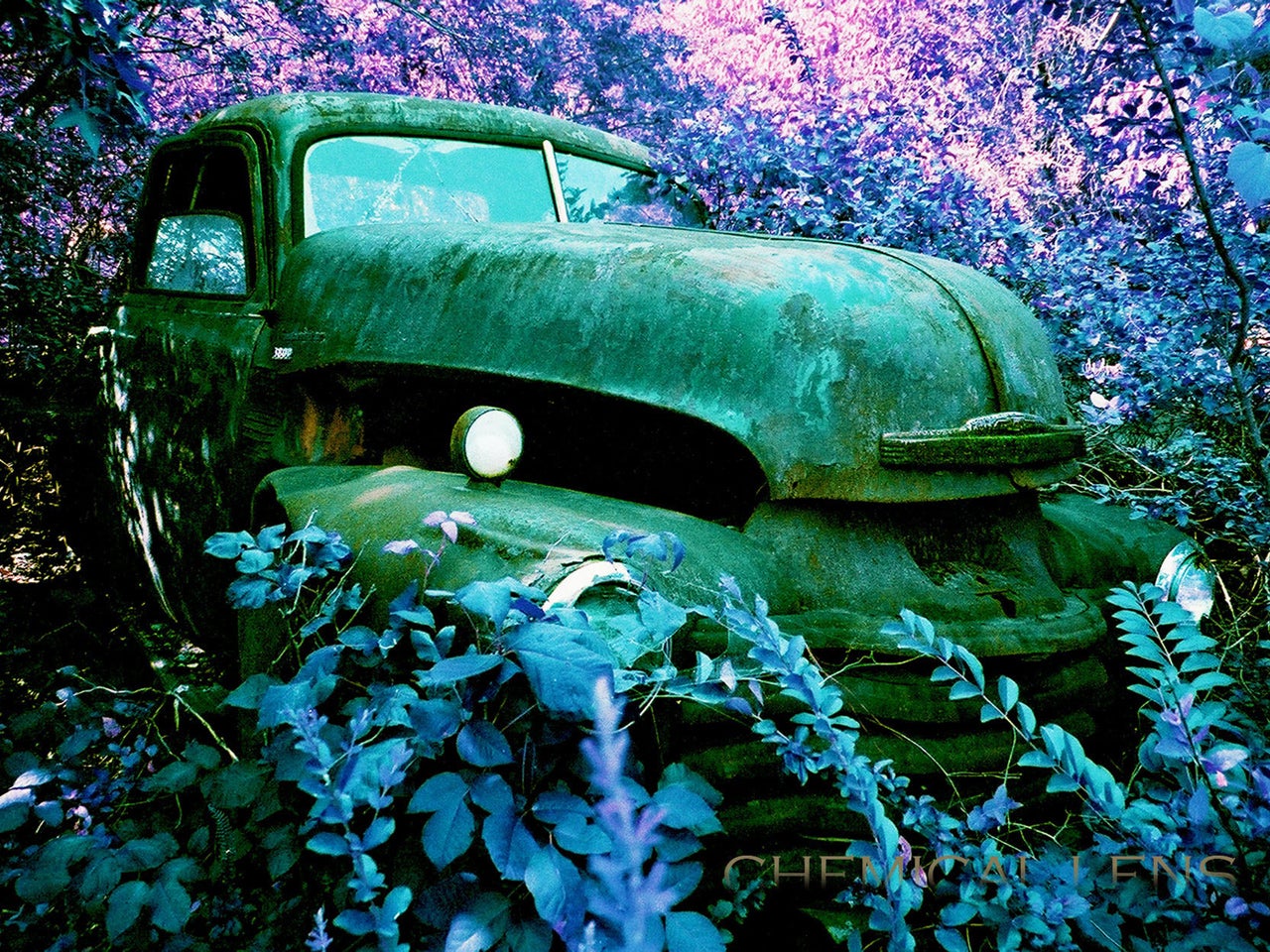 Classic Cars Atlanta >> Rotting Art - A museum of junked cars - Pictures - CBS News Classic Cars Atlanta >> Rotting Art - A museum of junked cars - Pictures - CBS News