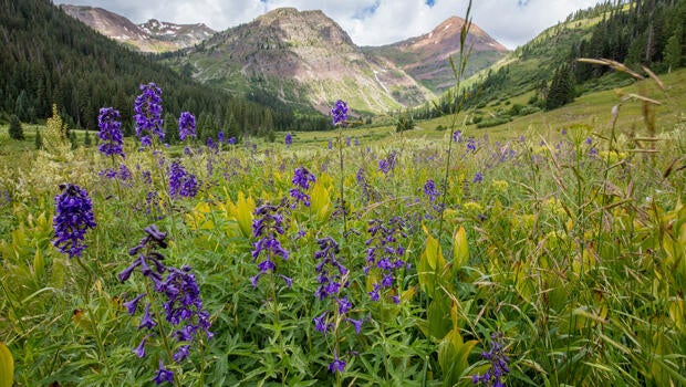 crested-butte-colorado-landscape-john-fielder-620.jpg