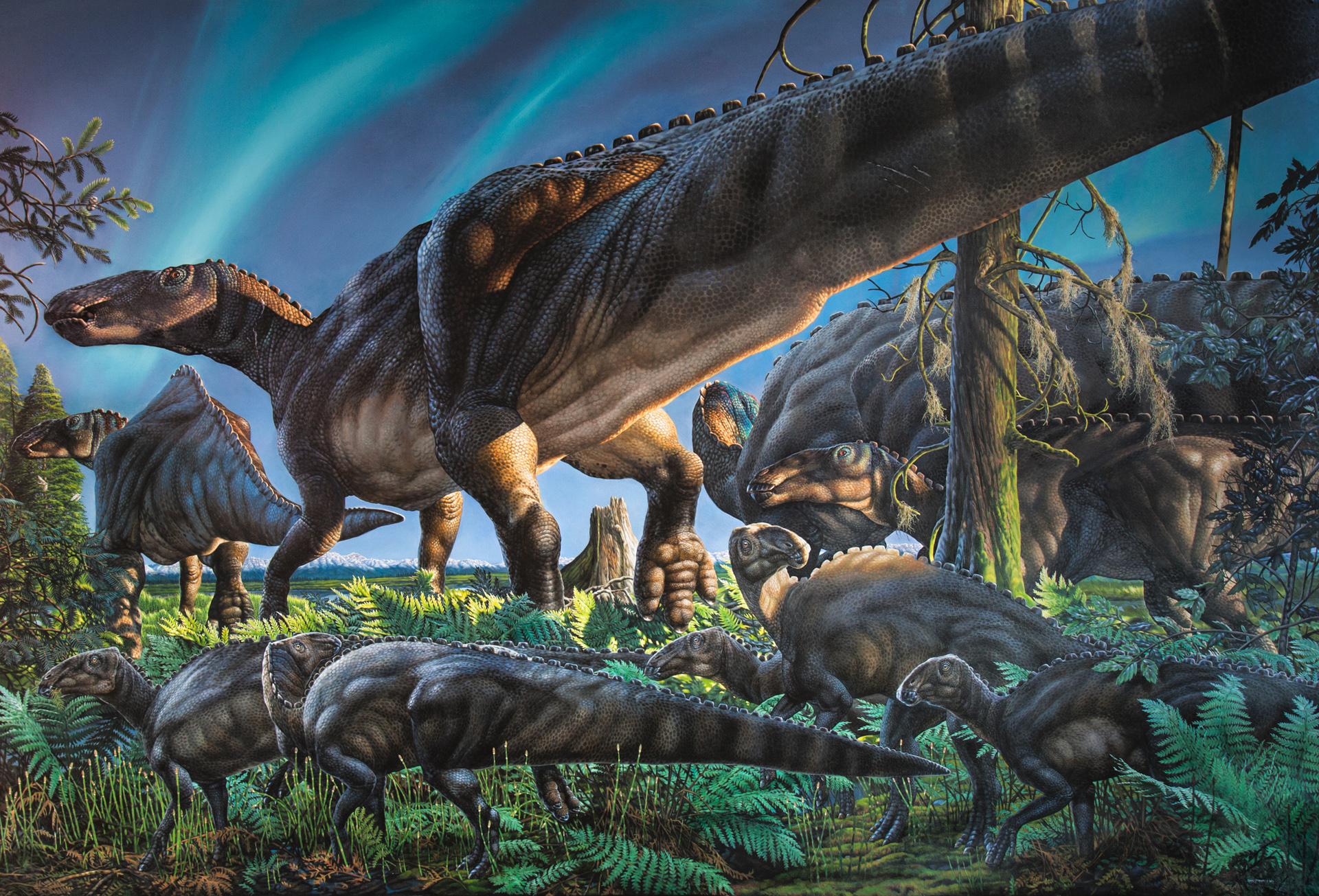 New dinosaur  species may have left tracks in the snow 