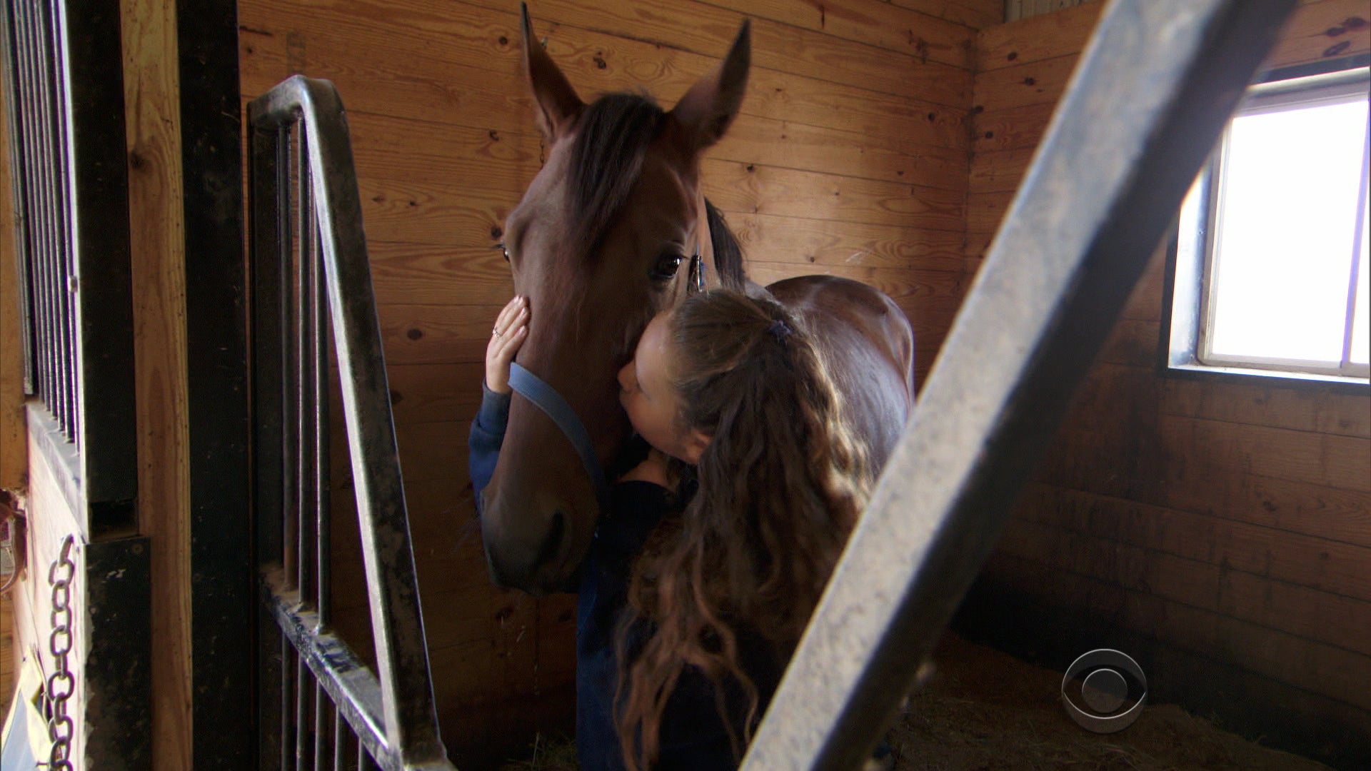 Off to the races Meet the little horse that could CBS News