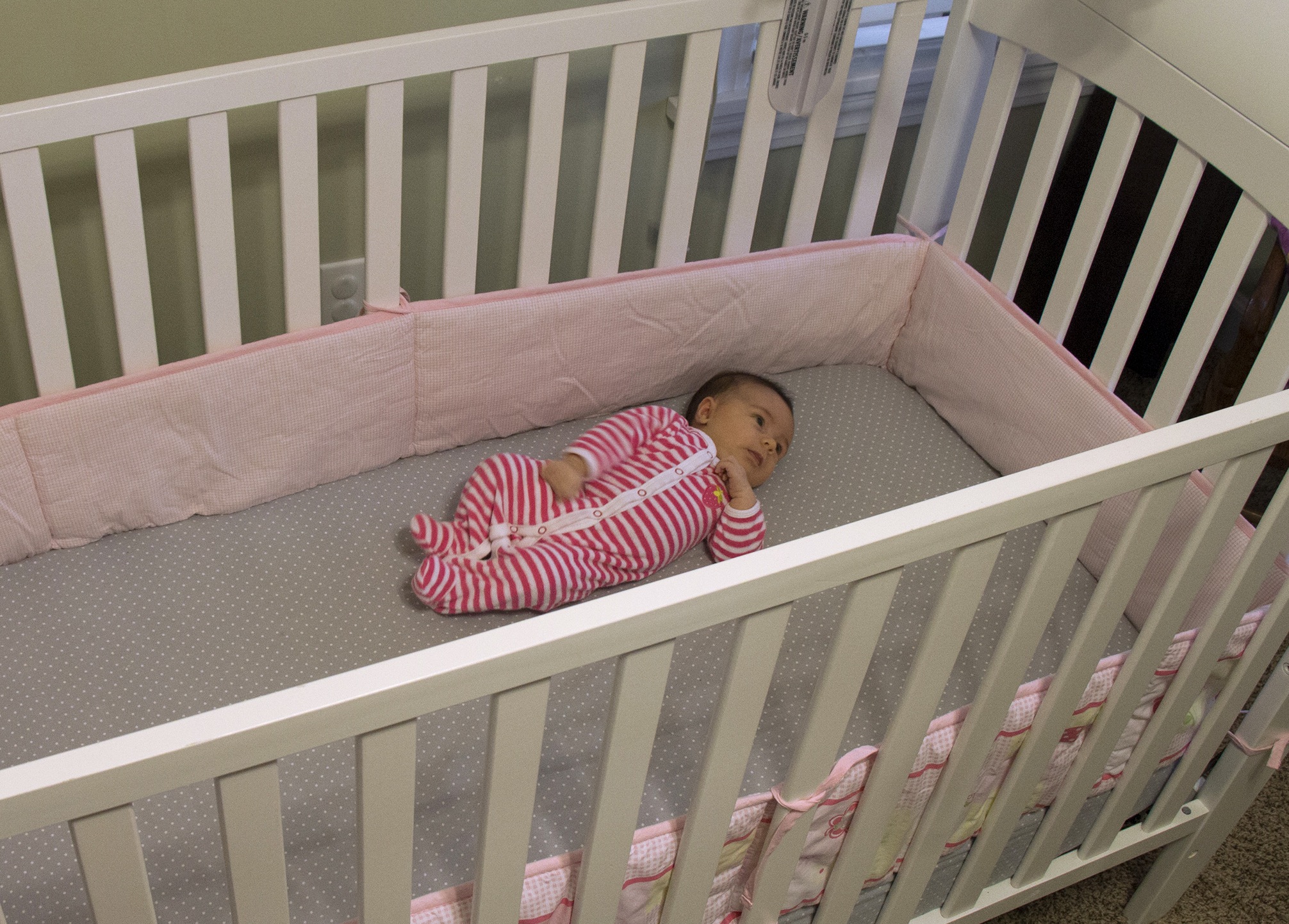 american cot bed