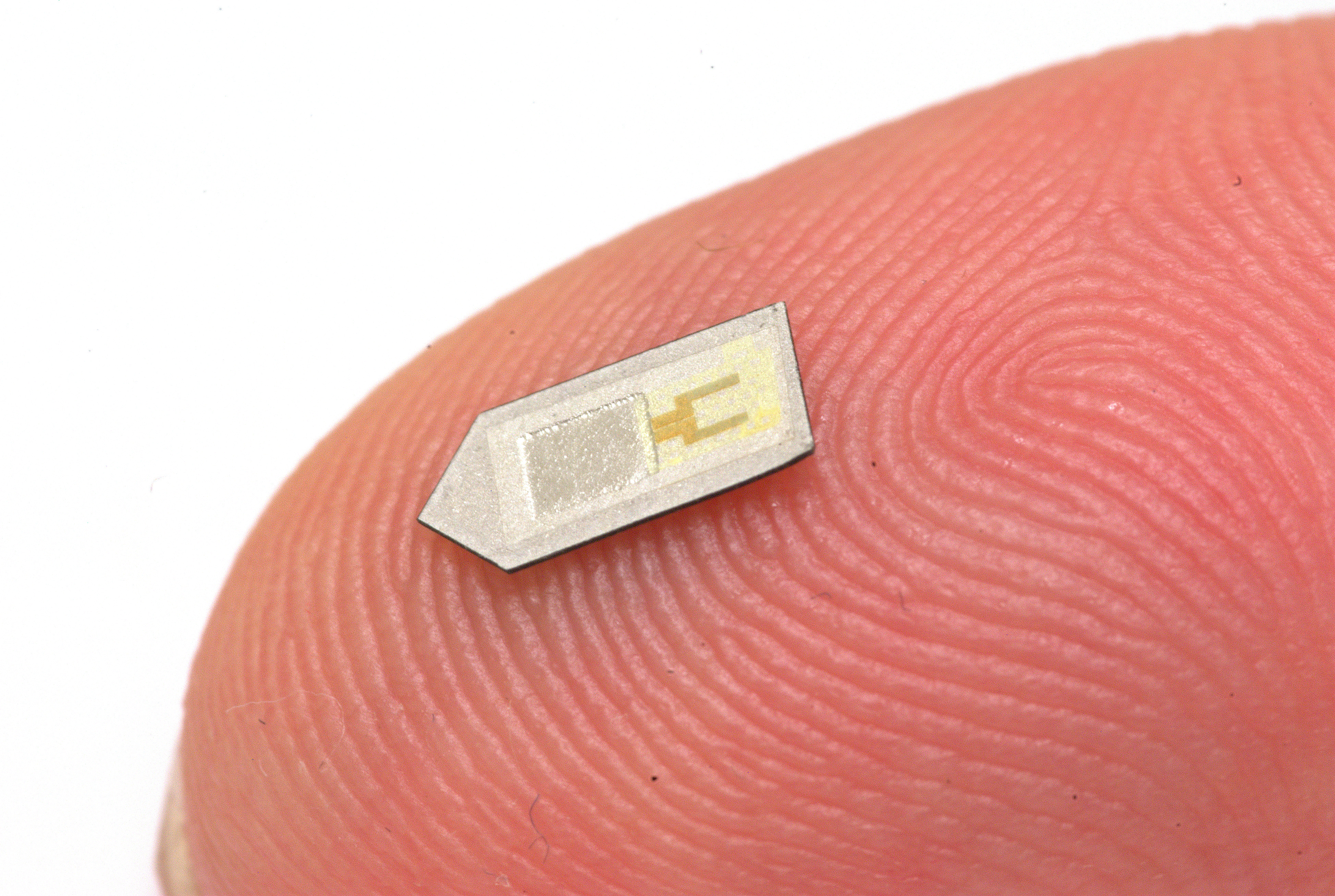 Tiny implanted sensors monitor brain injuries, then dissolve away - CBS News3896 x 2616