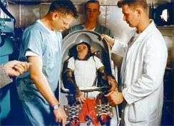 ham-the-chimp-mercury-nasa-244.jpg
