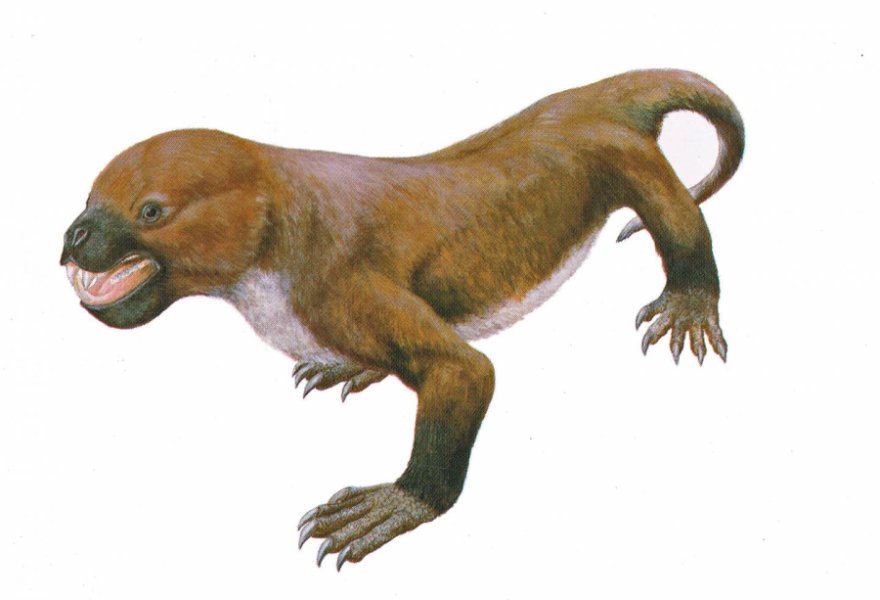 Ancient mammal-like reptile existed alongside early mammals - CBS News