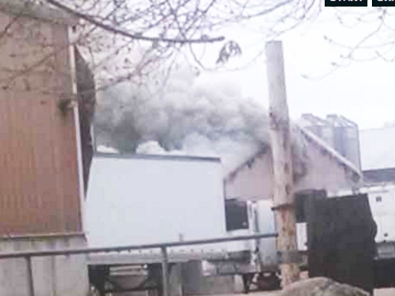 Tens of thousands of chickens die in egg farm fire CBS News