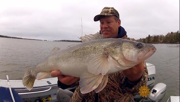 northwest-angle-border-fish-620.jpg