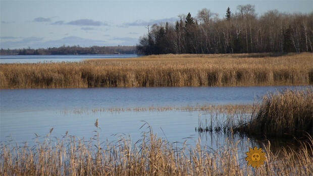 northwest-angle-view-620.jpg