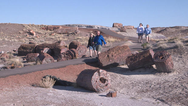 petrified-forest-national-park-visitors-620.jpg 