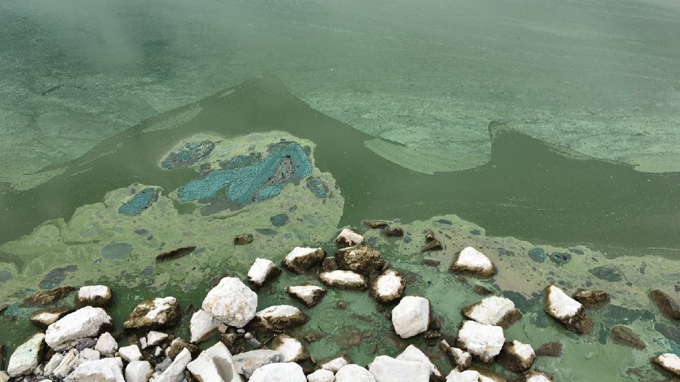 Toxic algae smothers Utah Lake, sickens 100 CBS News