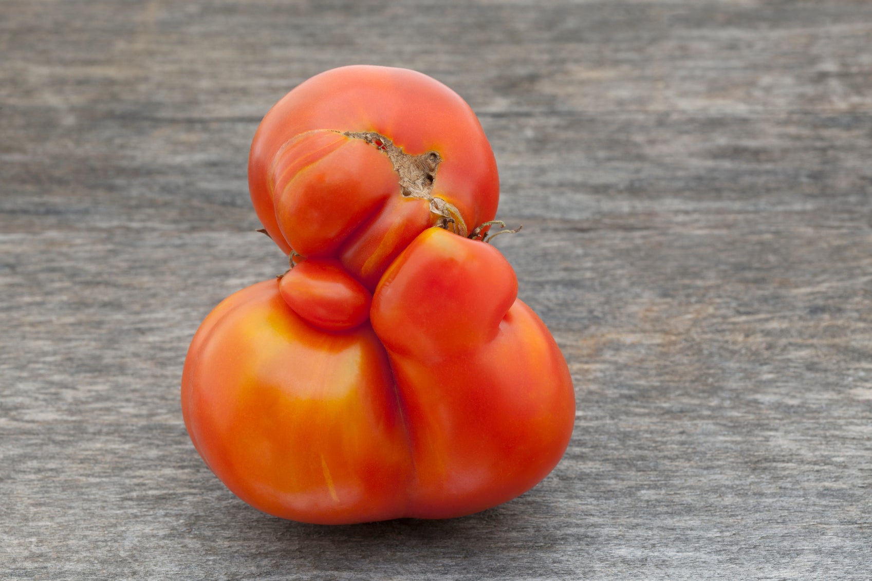 Beautiful on the inside? Walmart selling "ugly fruit" at a discount