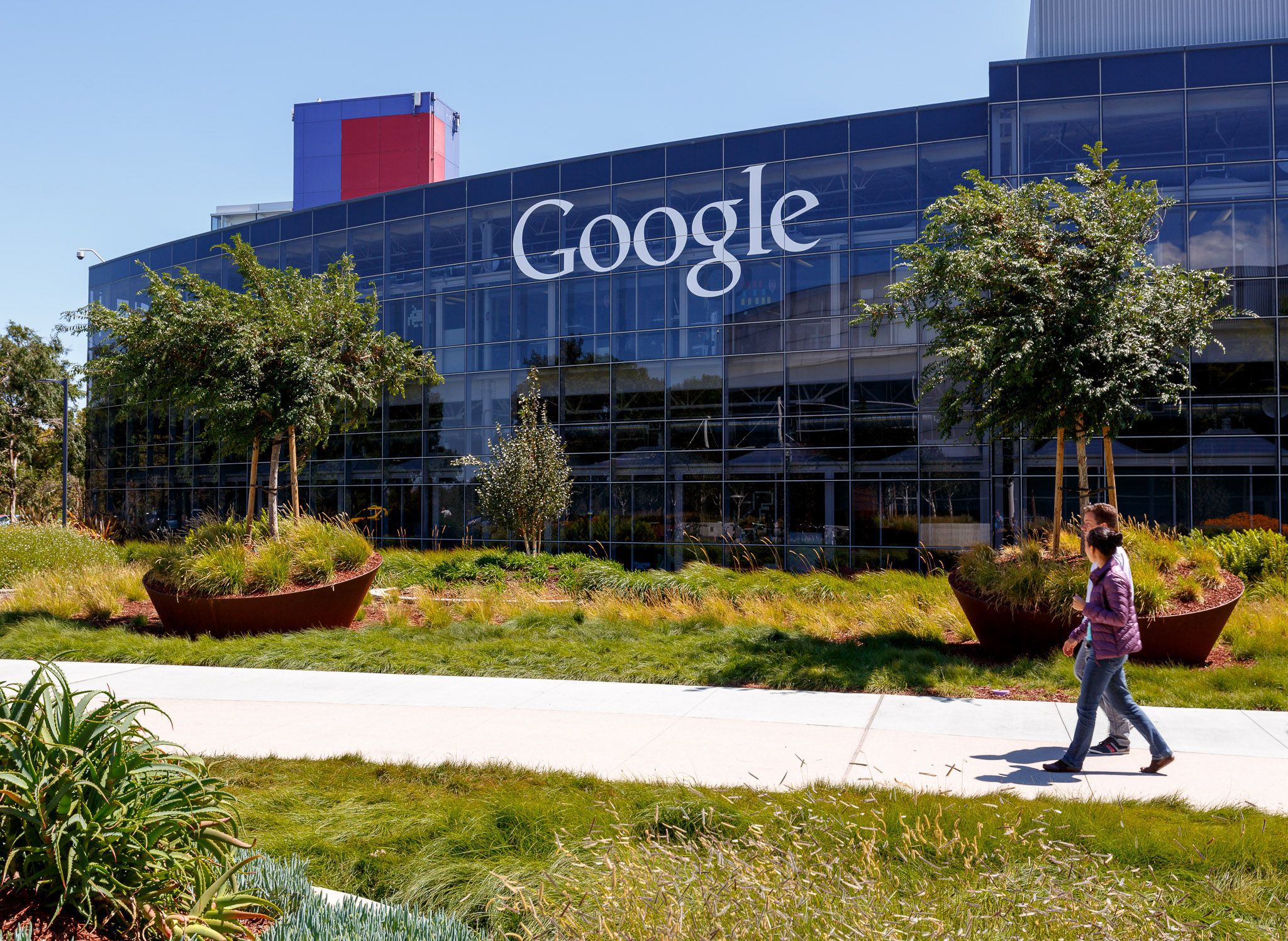Google worker says women don't advance in tech because of biology