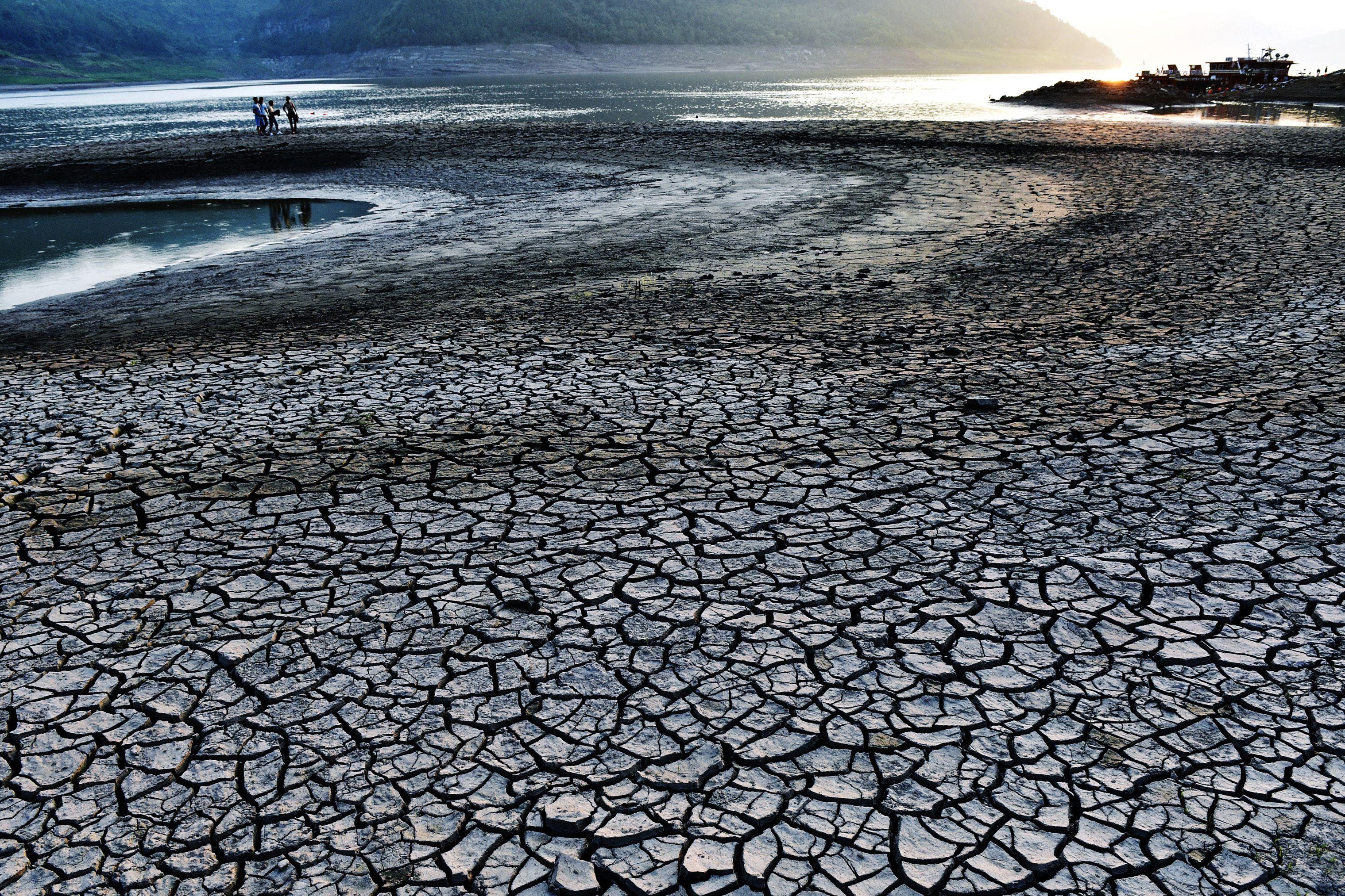 experts-hot-weather-and-heat-waves-newsroom-mcgill-university