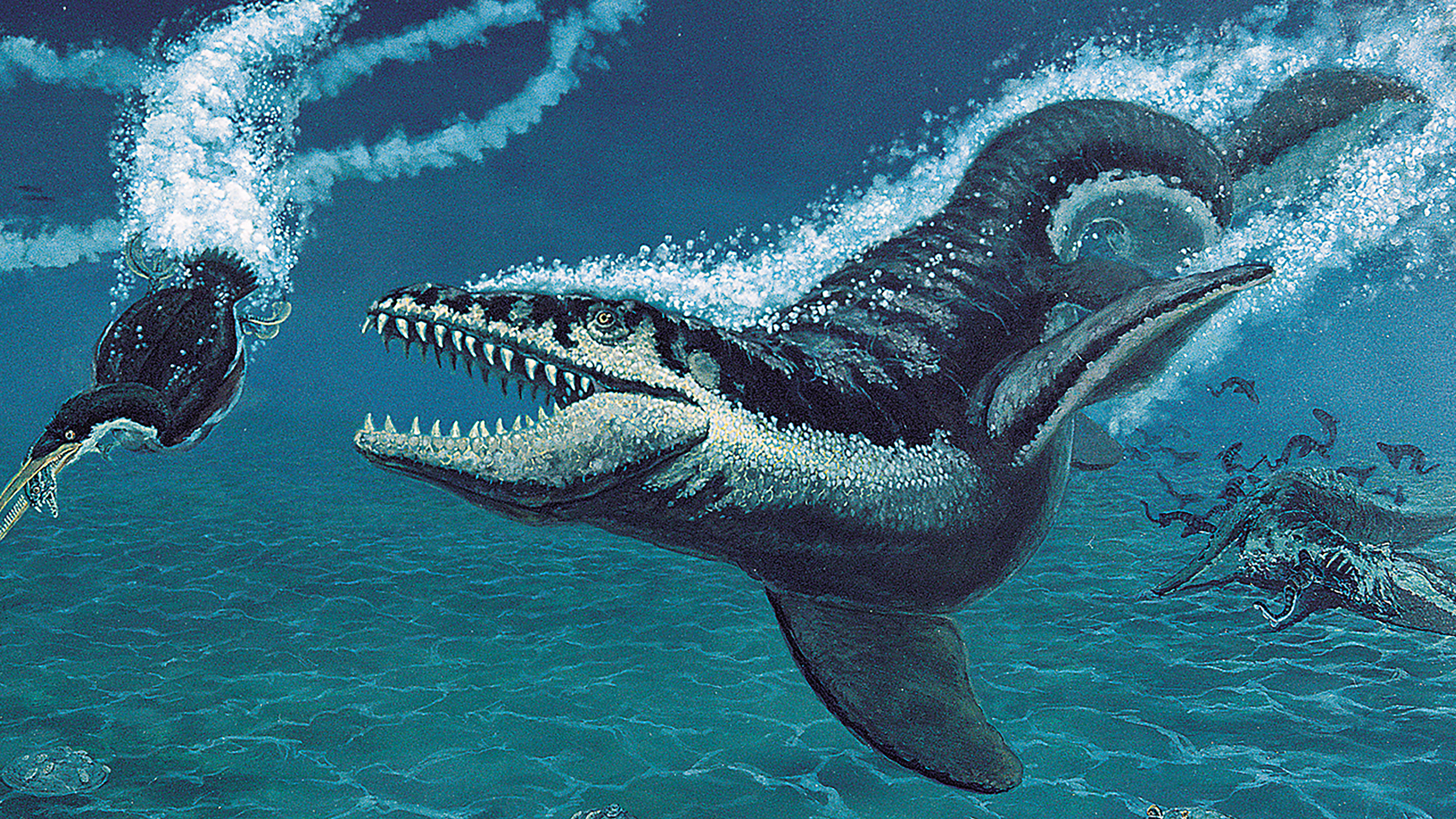 North Dakota fossils could be new species of ancient marine reptile - CBS News