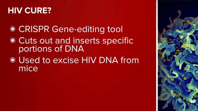 what is an research paper net