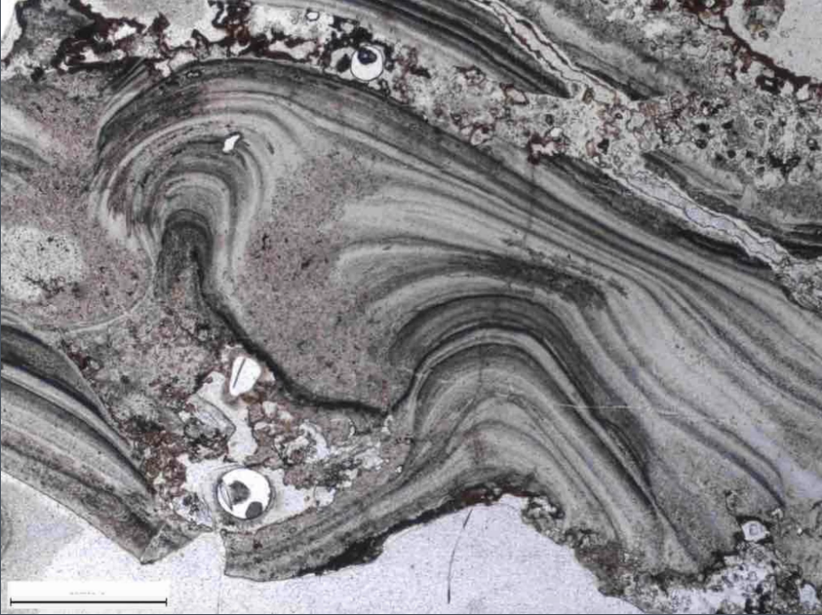 Scientists may have found the oldest evidence of life on Earth CBS News