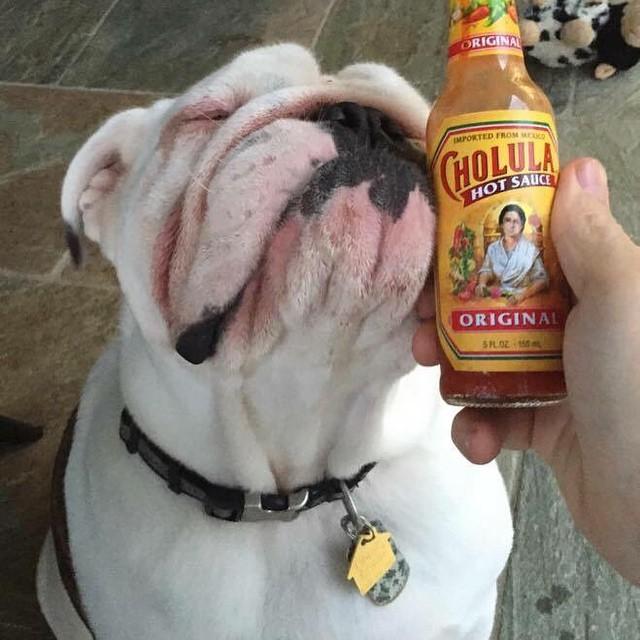 7. Buffalo Wild Wings Blazin’ Sauce Hot sauces, ranked by heat