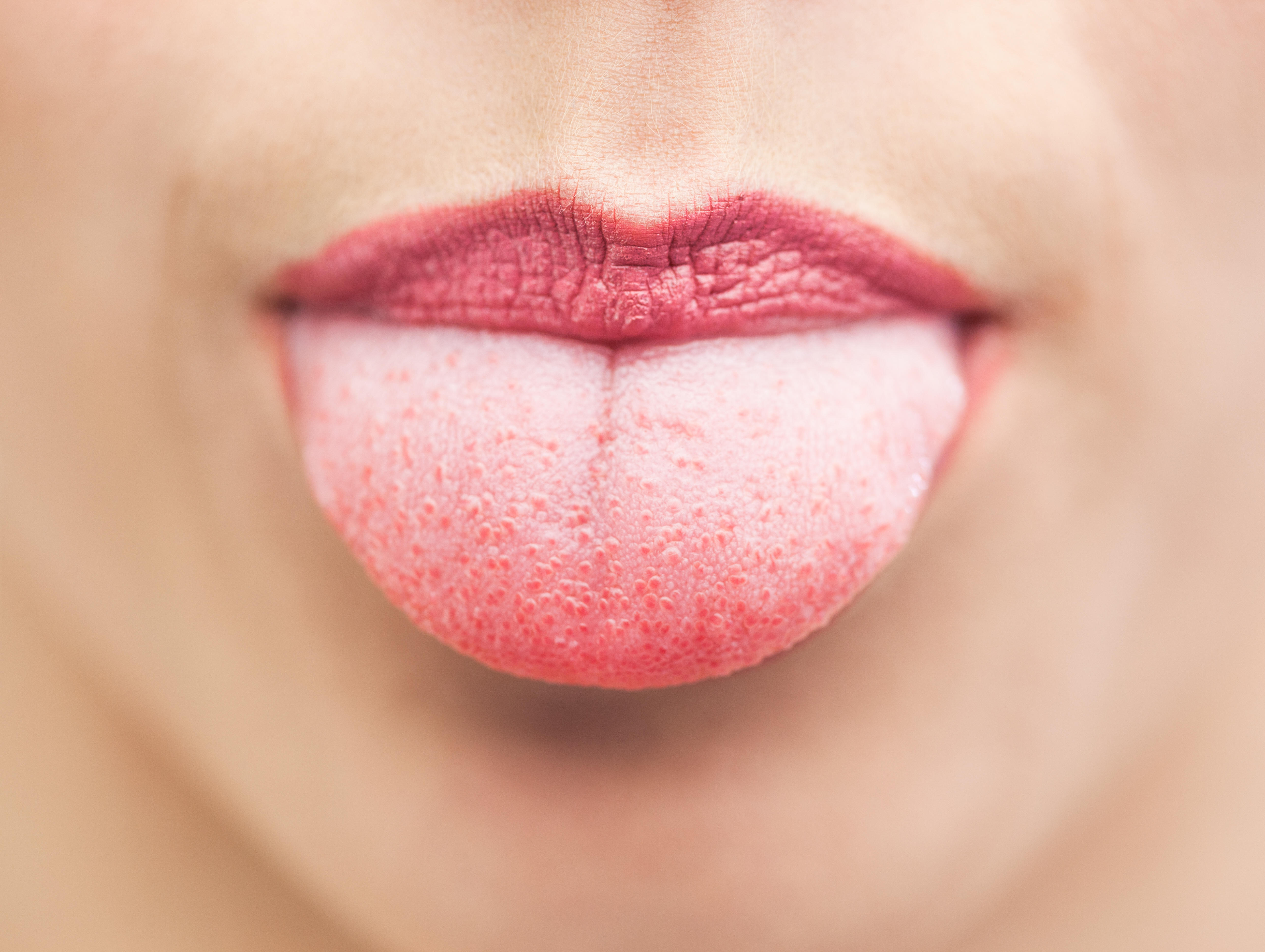 Tongue Chart Taste Buds