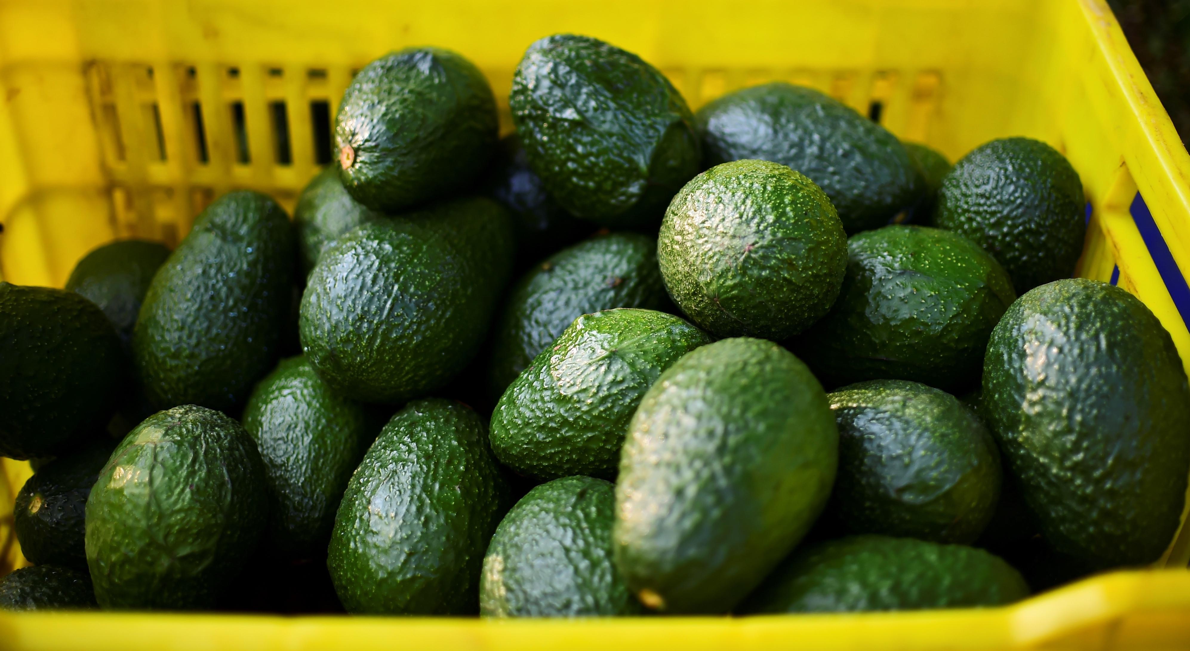 workers-stole-300-000-worth-of-avocados-police-say-cbs-news