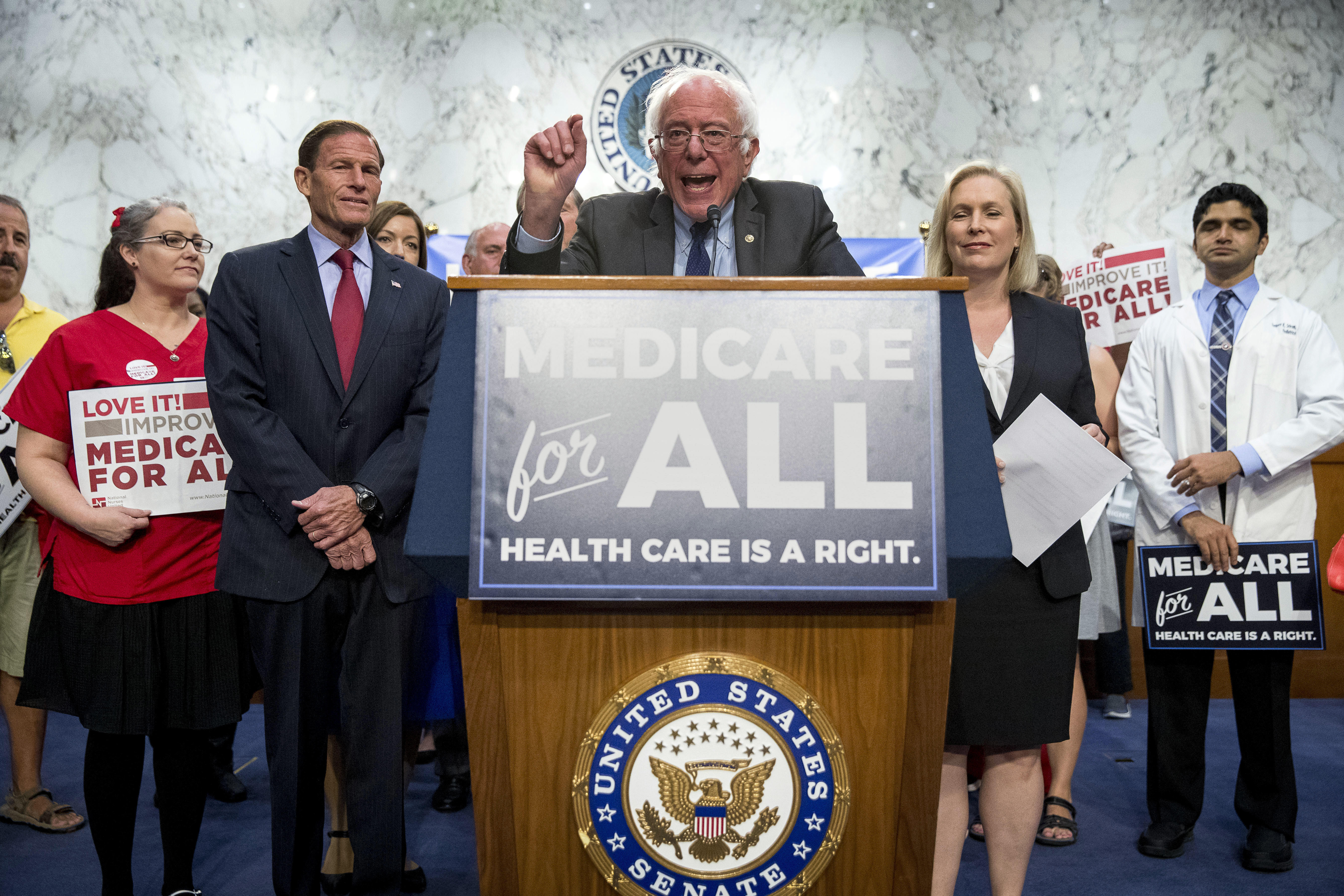 How exactly would single-payer health care work?
