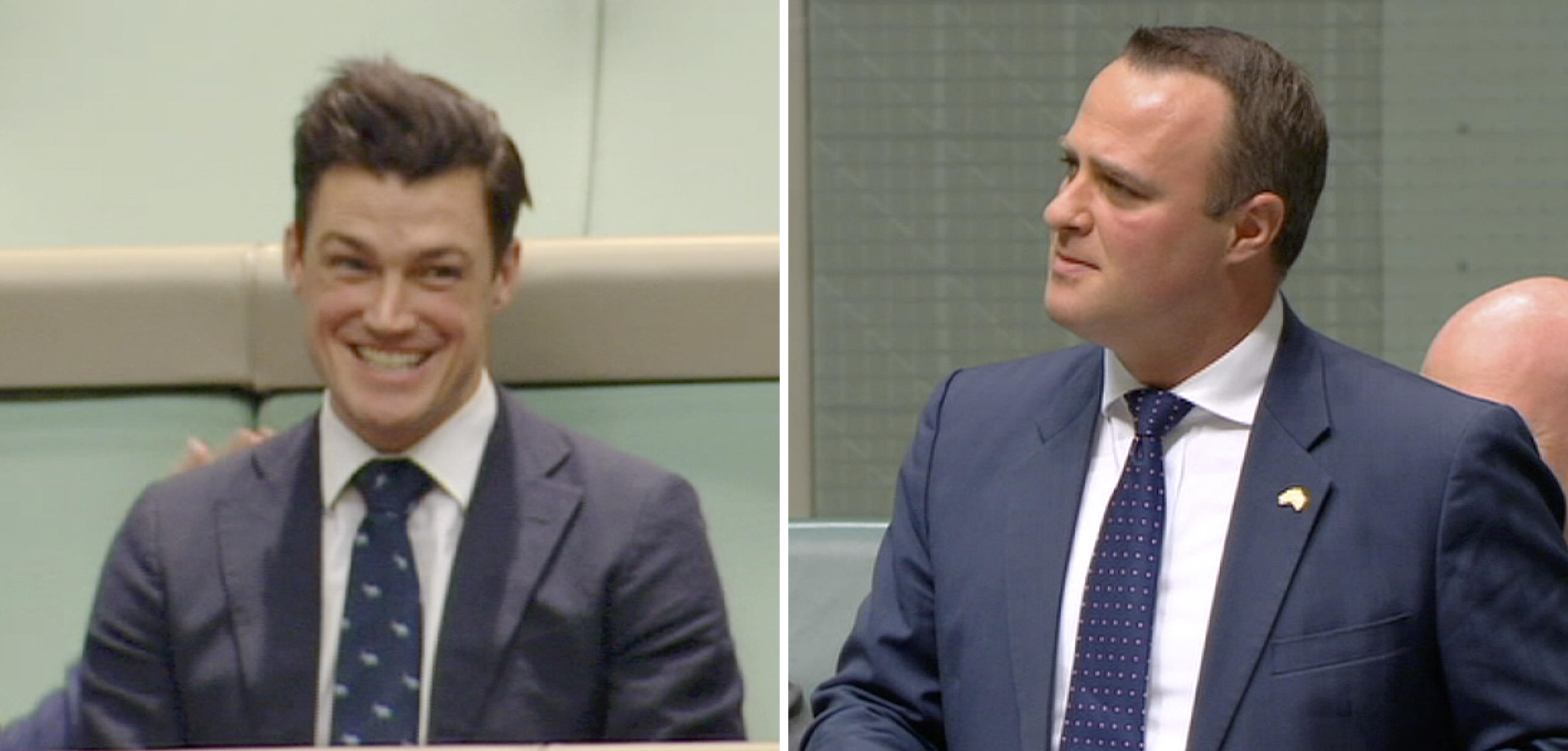 Tim Wilson Australian Parliamentarian Proposes During Same Sex