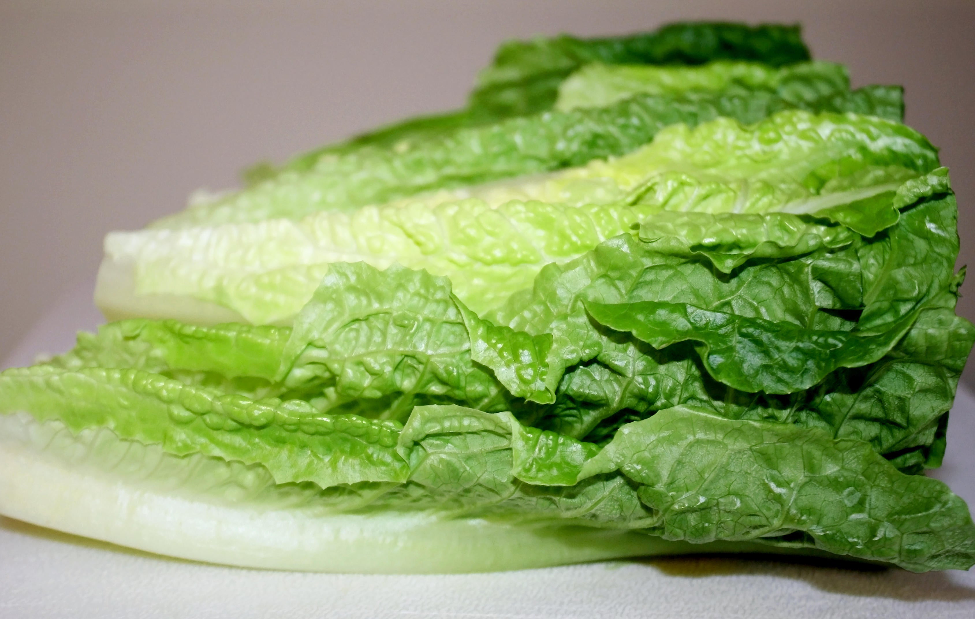 CDC Warns Not To Eat Romaine Lettuce Amid New E Coli Outbreak No 