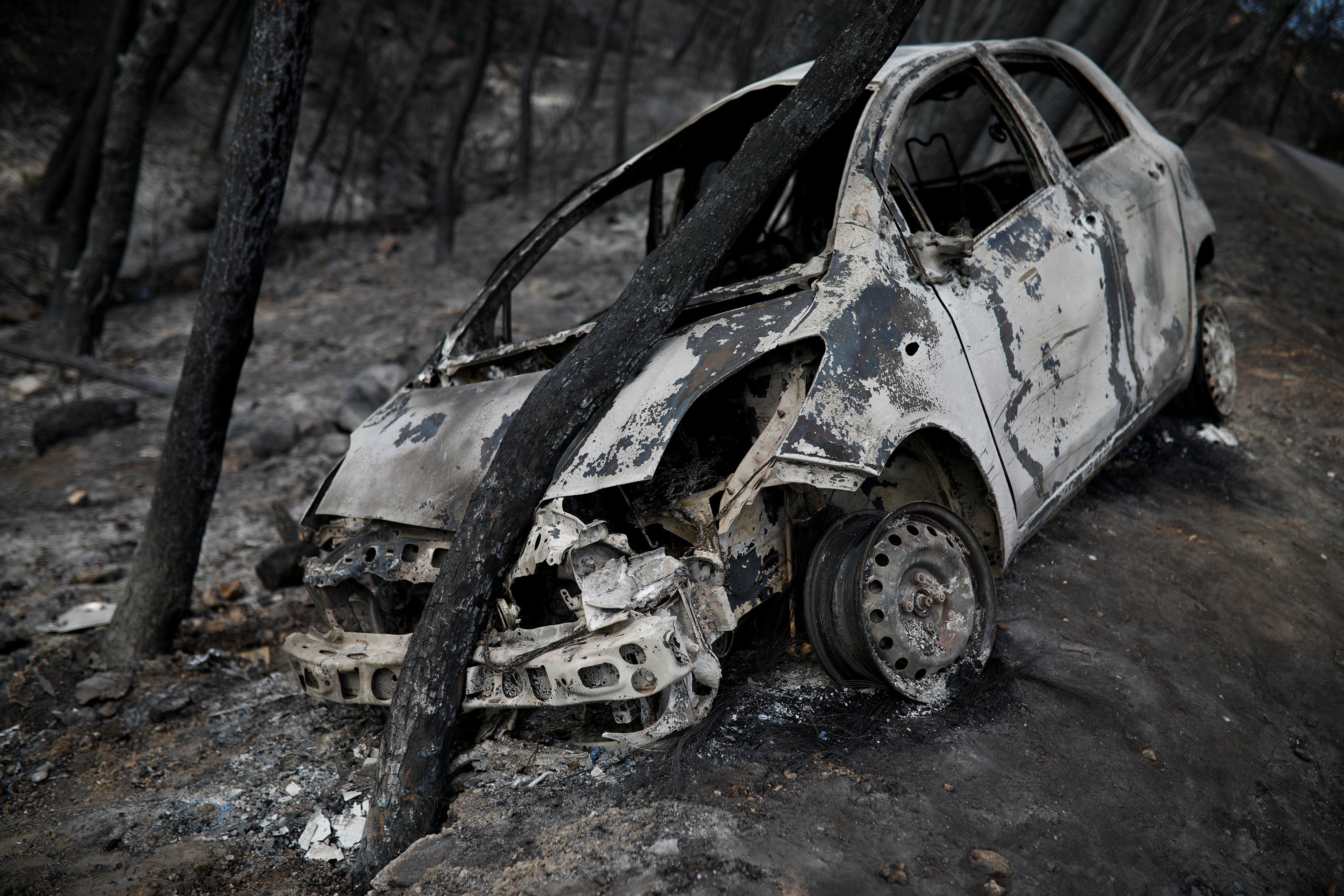 Fire in Greece Officials see "serious indications" arson led to forest