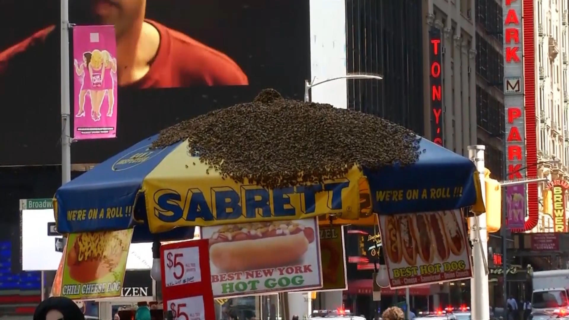 New York abuzz about swarm of bees in Times Square CBS News