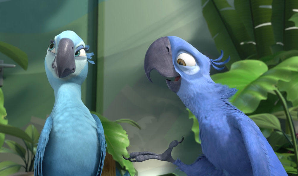 Sporvogn Auckland i det mindste Blue macaw parrot that inspired "Rio" is now officially extinct in the wild  - CBS News