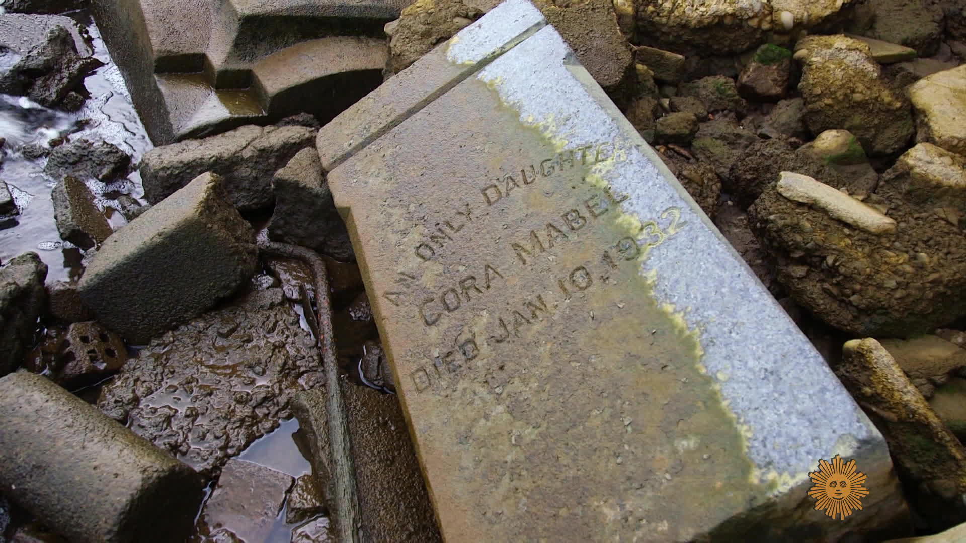 The search for tombstones of the Columbian Harmony Cemetery 