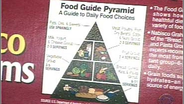 essay of food pyramid essay of food pyramid