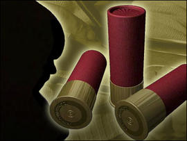 4-Year-Old Boy Shoots Mom, Say Wash. Cops