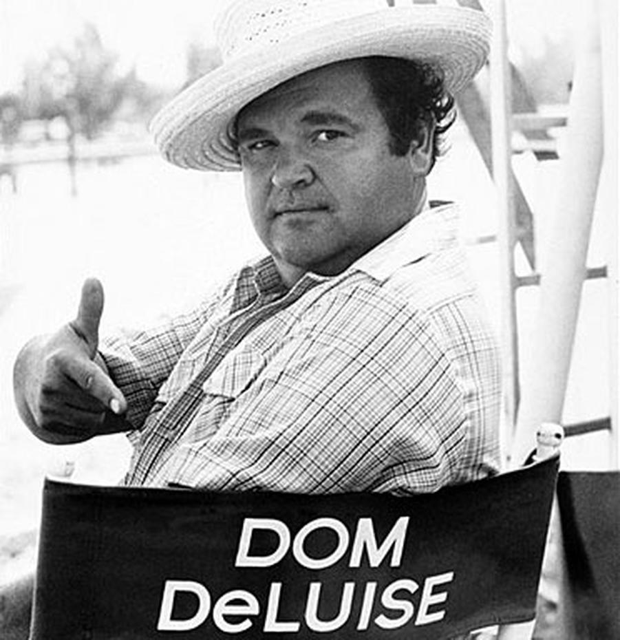 Dom DeLuise 19332009 Photo 1 CBS News