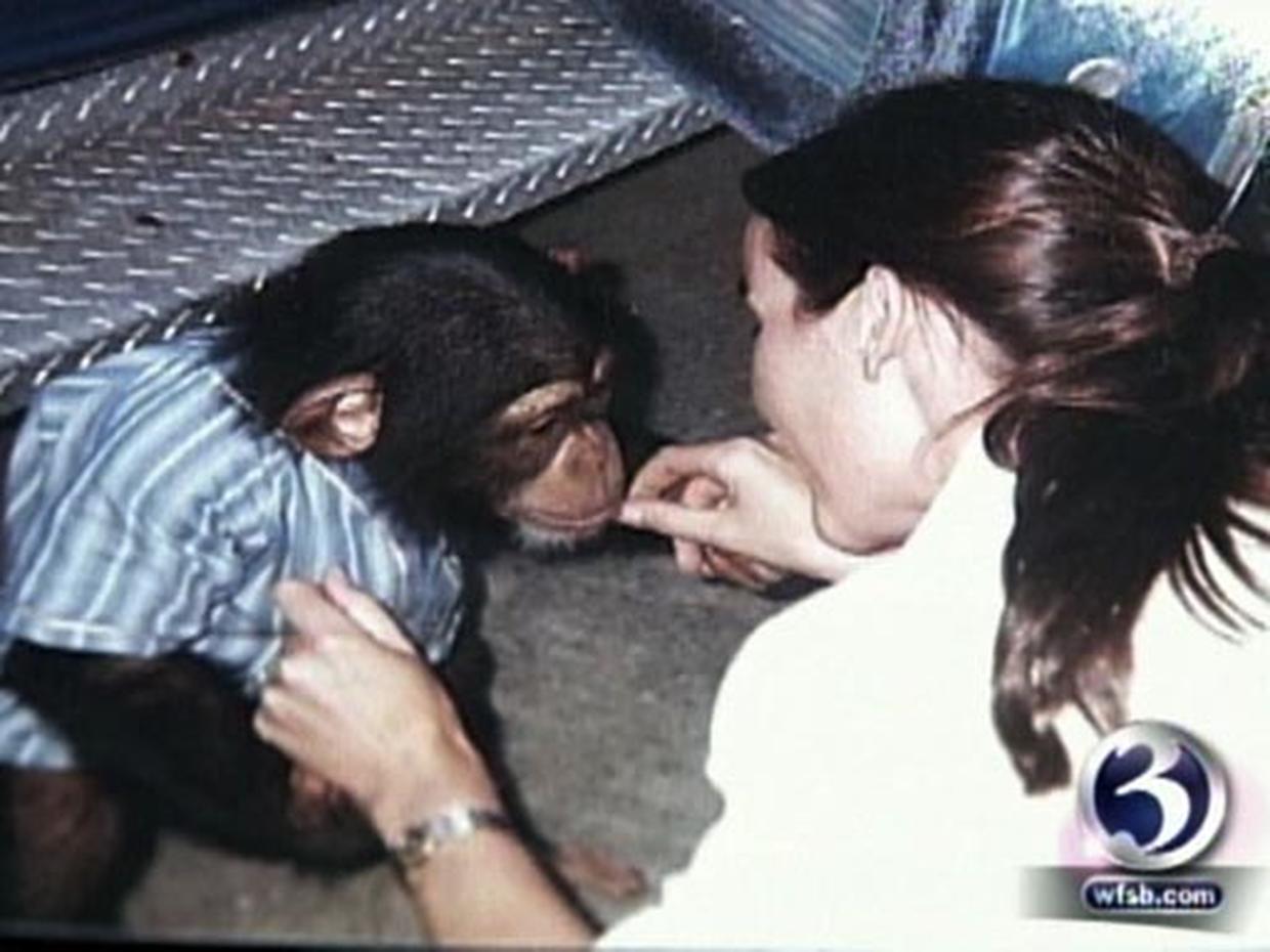 charla nash after getting attacked by chimpanzee