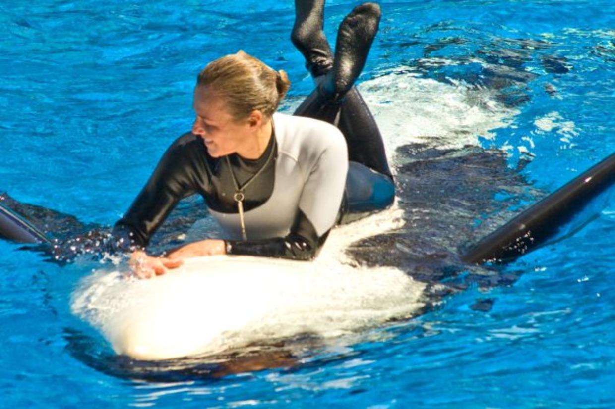 Dawn Brancheau SeaWorld Trainer Killed