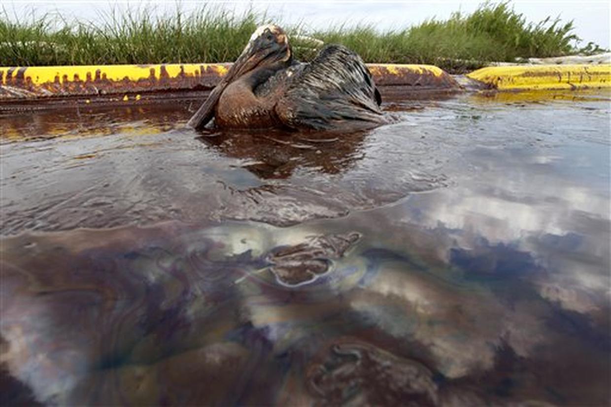 Deepwater Horizon Oil Spill 100 Days 100 Photos Pictures Cbs News