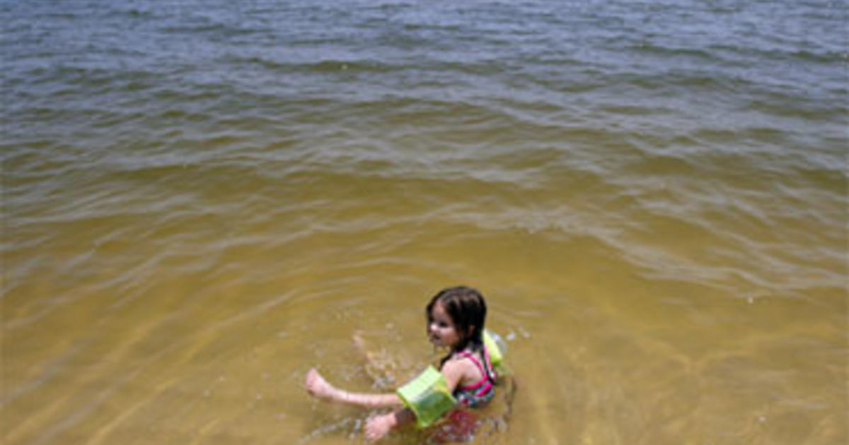Flipboard Toxic Algae Bloom Closes Mississippi Beaches Across Gulf Coast