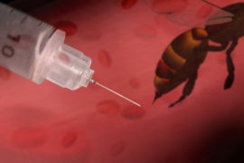 &quot;Plastic Antibodies&quot; Sting Bee Venom CBS News