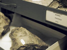 Alberta Dinosaur Bonebed is Largest ever Found