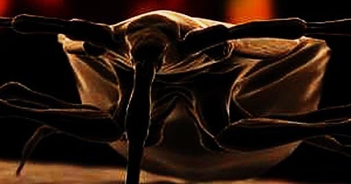 7 Columbus Ohio Bedbugs 15 Worst Cities Pictures Cbs News
