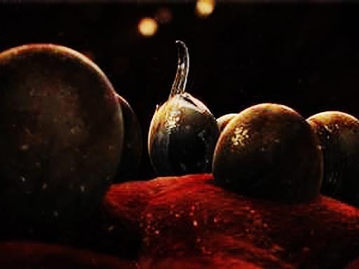 LUNGWORM_HATCH.jpg