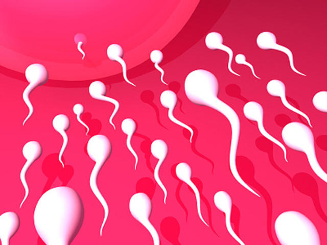 Sperm is your clear if What Is
