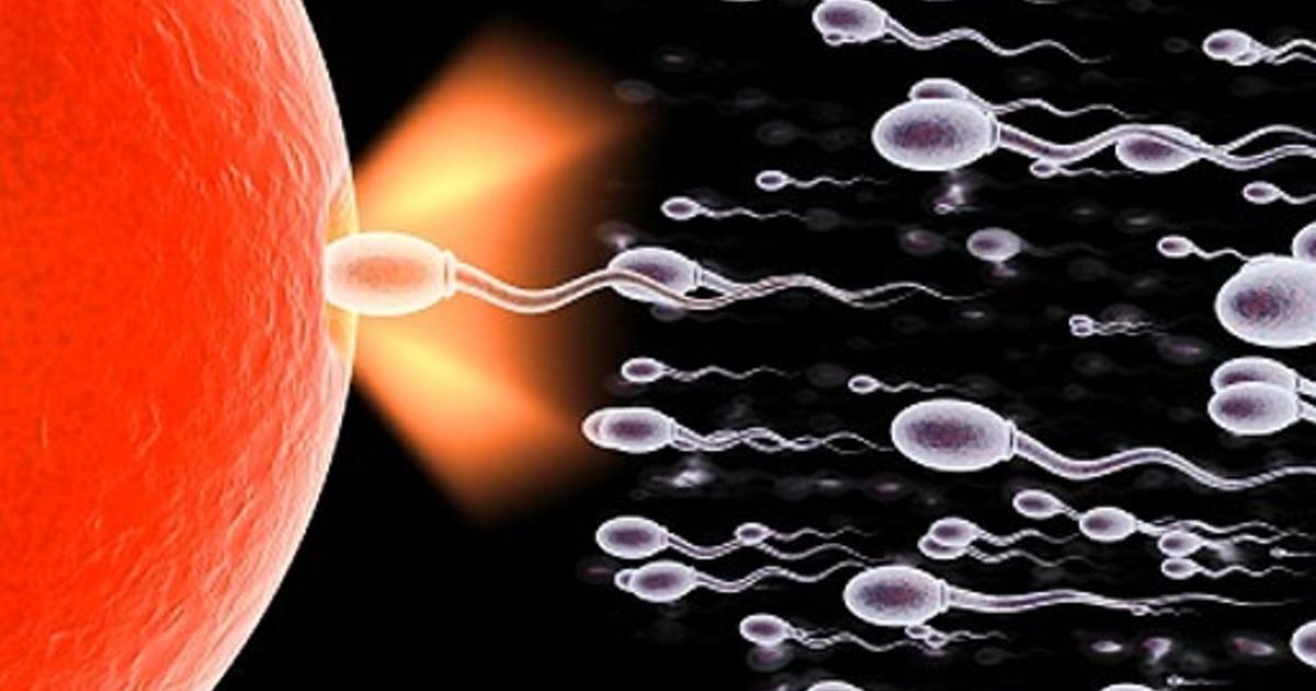 Sperma and sex in Fukuoka