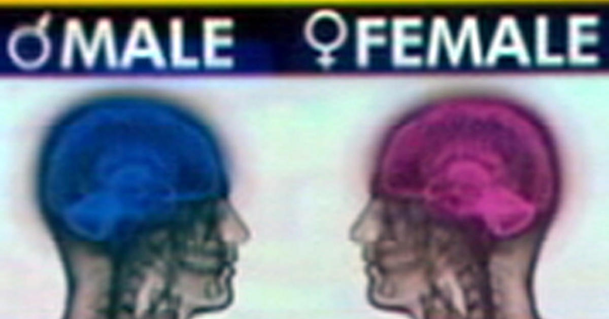 Male Vs Female Brains Videos Cbs News