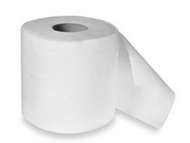Jersey Man Charged for Dumping Wet Toilet Paper on School from Plane