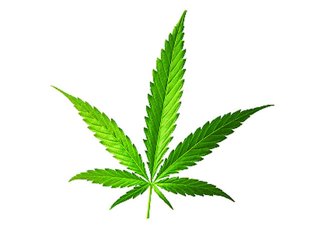 Marijuana: 7 Health Myths Up in Smoke - CBS News