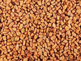 fenugreek seeds, stock, 4x3