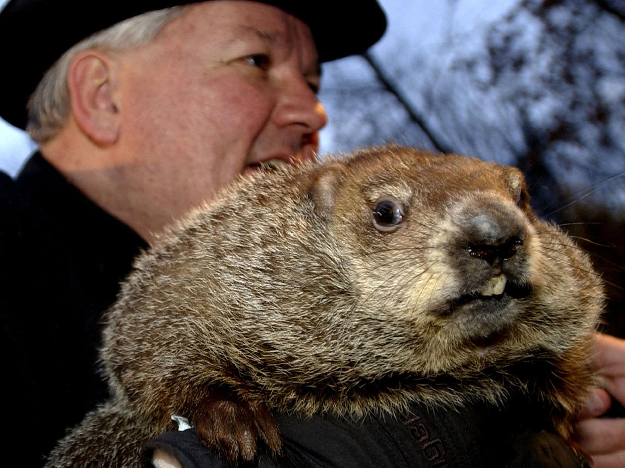 Punxsutawney Phil Through the Years Photo 2 CBS News