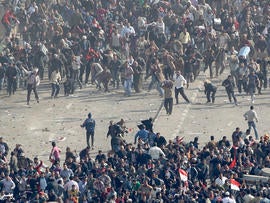 Pro-government demonstrators