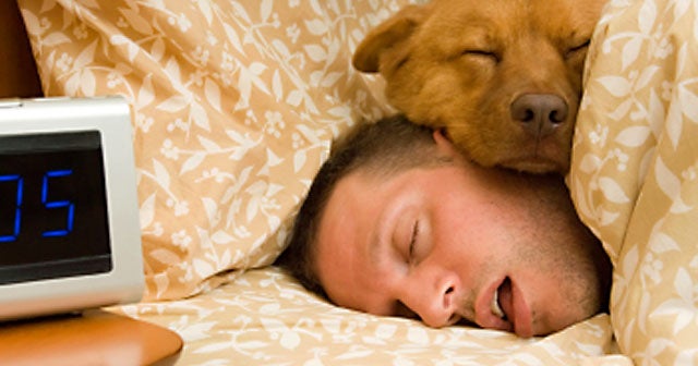 man sleeps with dog