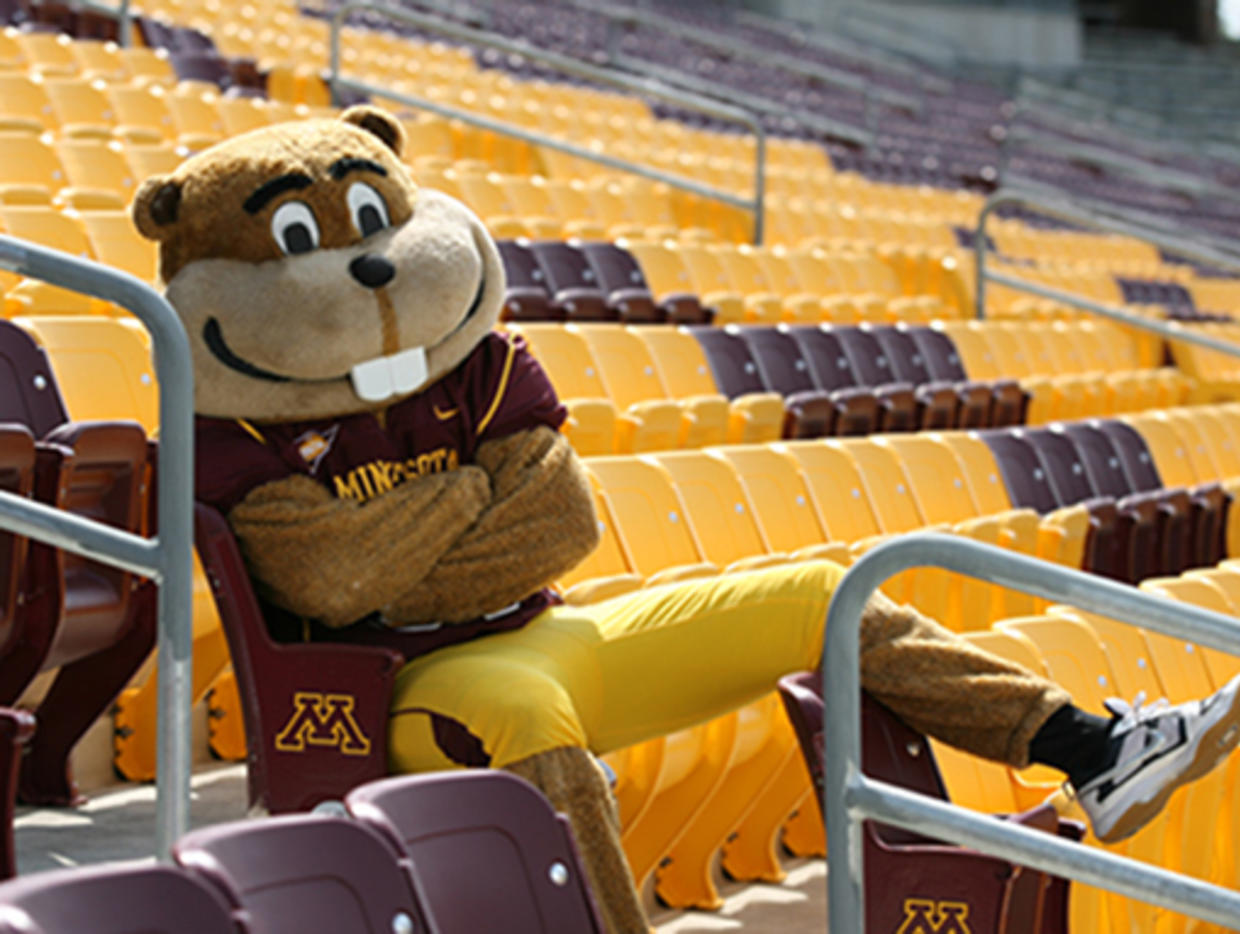 goldy gopher sweatshirt